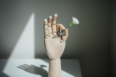Close-up of hand holding white flowers on table