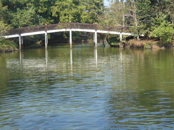 Bridge over lake