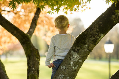 Rear view of boy on tree trunk