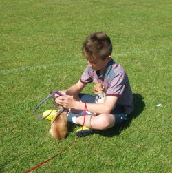 High angle view of boy playing with chihuahua puppies at park