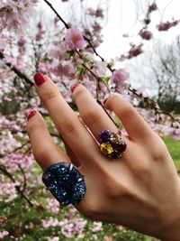 Close-up of woman hand on cherry blossom