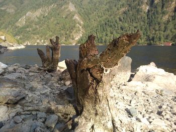Rock formations in sea