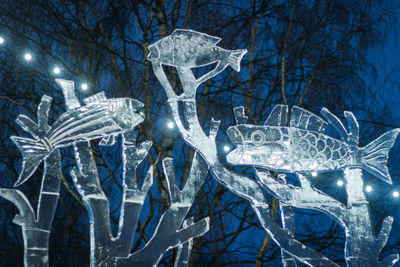 Low angle view of illuminated christmas tree at night