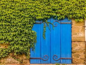 View of closed blue door