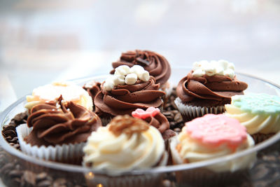 Close-up of cupcakes on plate