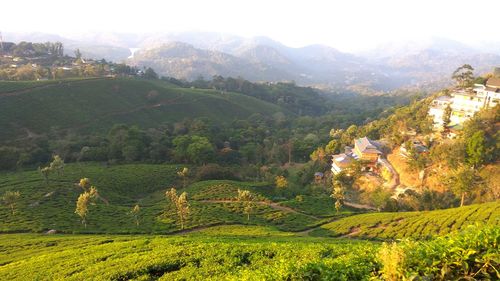 Scenic view of agricultural field by mountains against sky