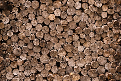 Full frame shot of logs in forest