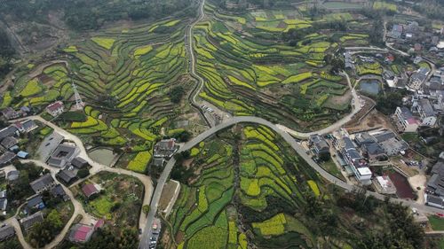 High angle view of agriculture field and road