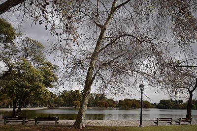 Empty bench on riverbank in park