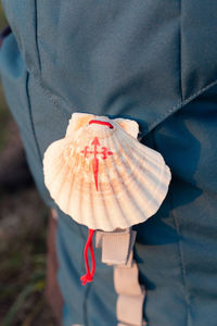 Rear view of man holding umbrella