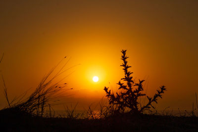 Silhouette landscape against orange sky