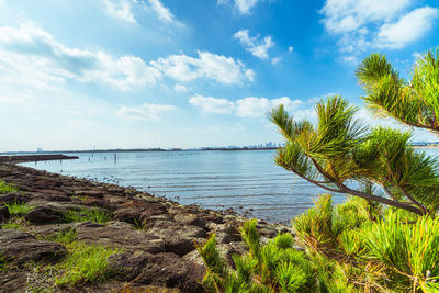 Scenic view of sea against sky