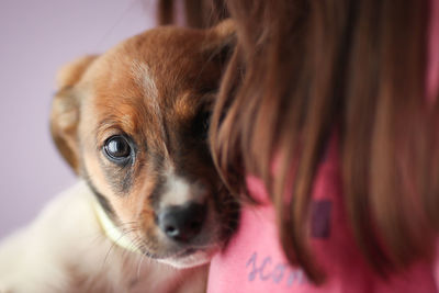 Cropped image of woman with puppy