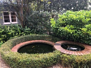 High angle view of plants in garden