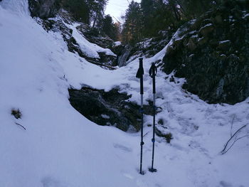 Snow covered land and trees against mountain