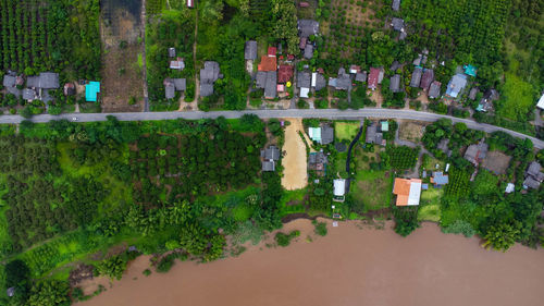 High angle view of trees