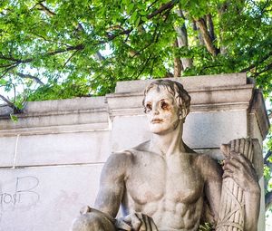 View of trees in the dark