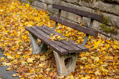 High angle view of autumn leaves on bench in park