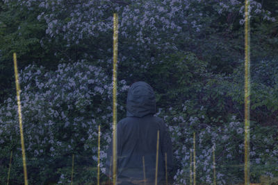 Rear view of man standing against trees