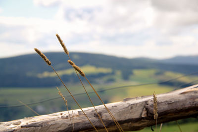 Close-up of rope against lake against sky