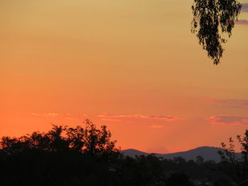 Silhouette tree against orange sky
