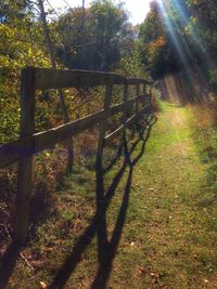 View of fence on sunny day