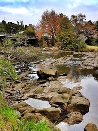 Scenic view of river against sky