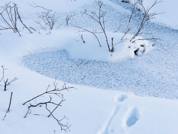 Bare tree on snow covered landscape