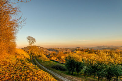 Scenic view of landscape against clear sky