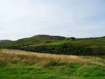 Scenic view of grassy field against sky