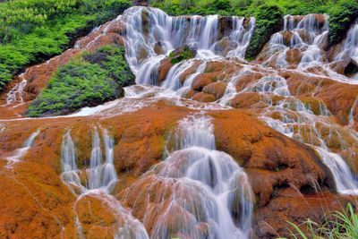 View of waterfall in forest