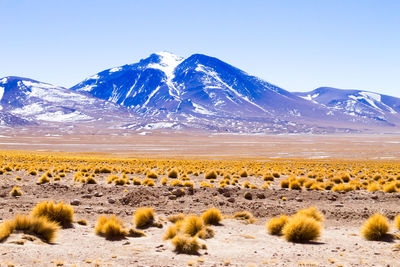 Scenic view of snow covered land against sky