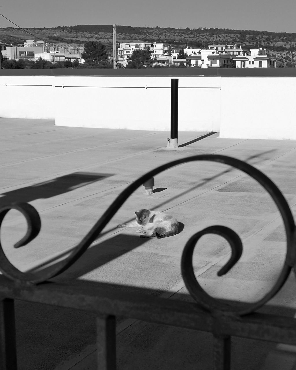 CLOSE-UP OF A BICYCLE SIGN