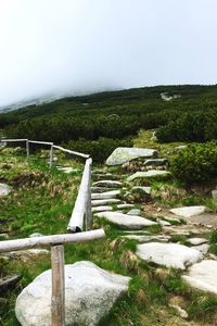 Scenic view of landscape against clear sky