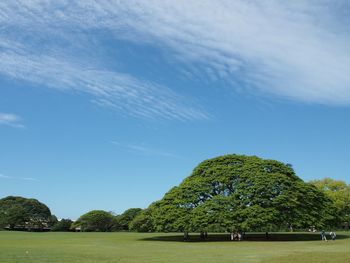 Scenic view of trees against blue sky