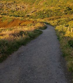 Road passing through field