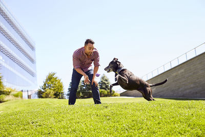 Rear view of woman with dog against sky