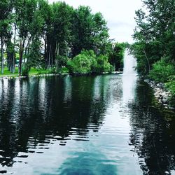 Scenic view of lake in forest against sky