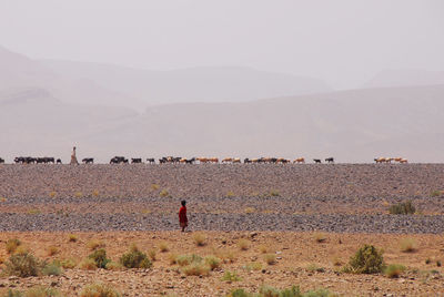 Rear view of man standing on field against sky