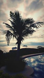 Palm trees by sea against cloudy sky