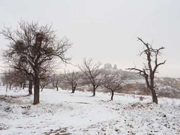 Trees on snow covered field against sky