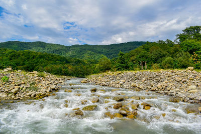 Scenic view of river by trees against sky