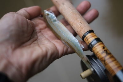 Cropped hand of man holding fish and fishing rod