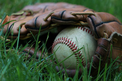 Close-up of baseball and glove on grass 