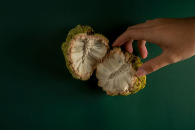 Midsection of person holding ice cream