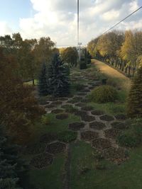 Trees on field against sky