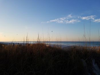 Scenic view of sea against sky during sunset