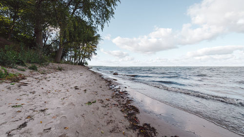 Scenic view of beach against sky