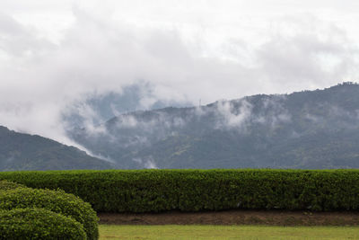 Scenic view of field against mountains