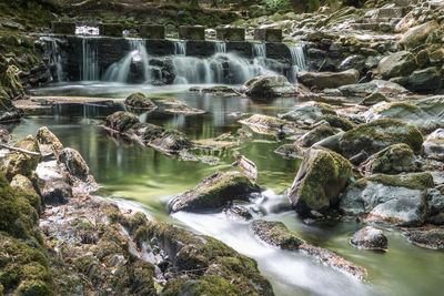 Scenic view of waterfall in forest